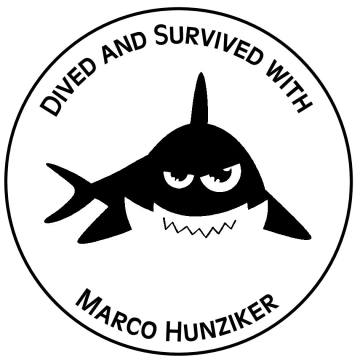 tauchstempel-375892.jpg 375892 tauchstempel-375892.jpg 375892